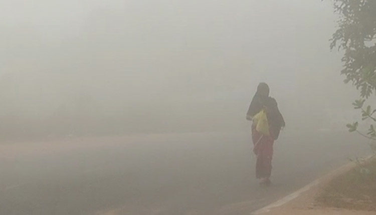 Six Odisha districts are under yellow alert for fog