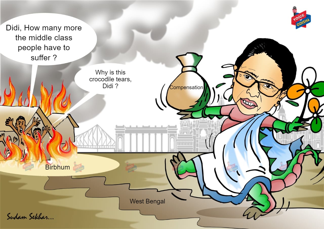 Mamata Banerjee Cartoon 