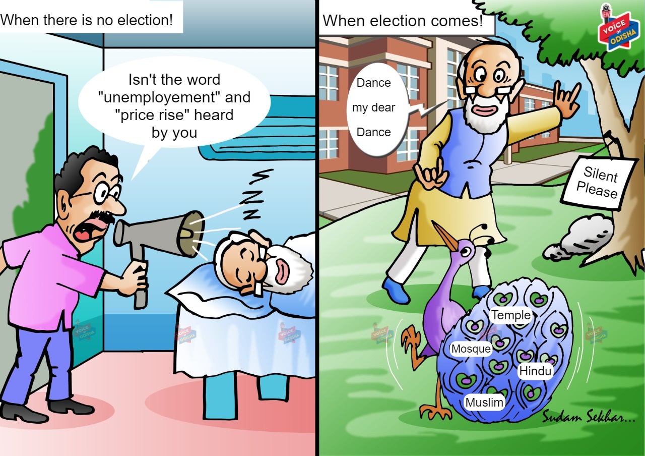 Politician during elections 