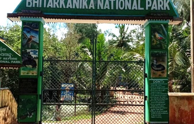 Bhitarkanika to reopen for tourists from August 5