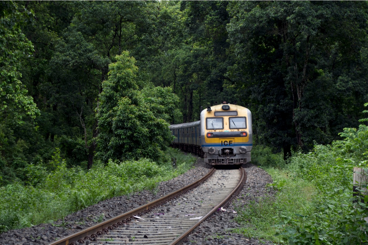 Indian Railways observe World Environment Day in a befitting manner