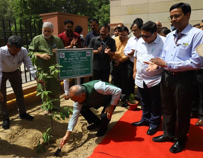 ECI celebrates World Environment Day