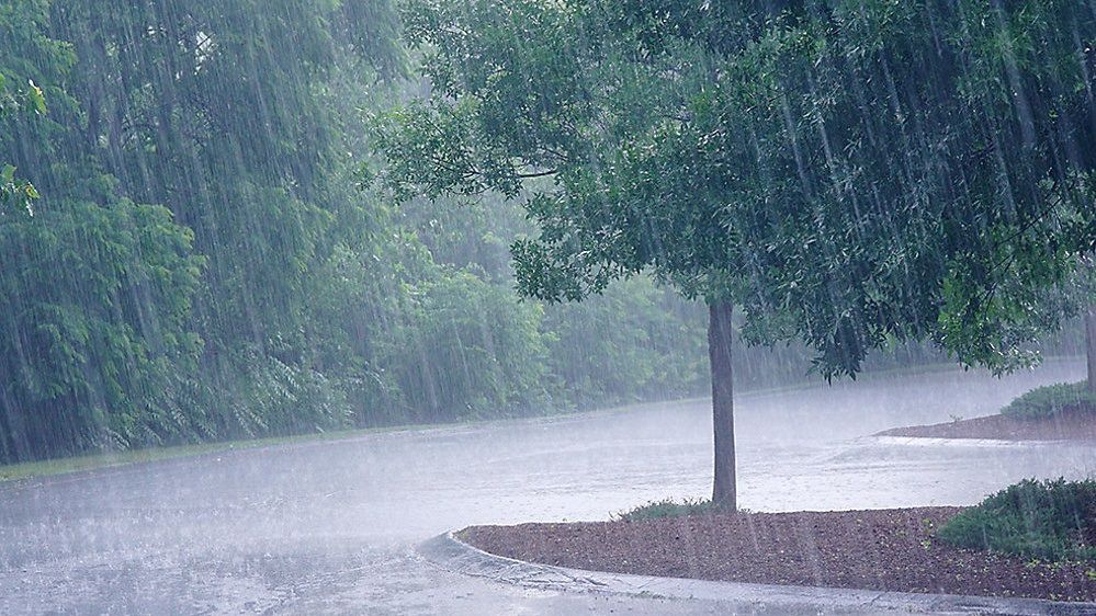 Heavy rain alert issued in Odisha