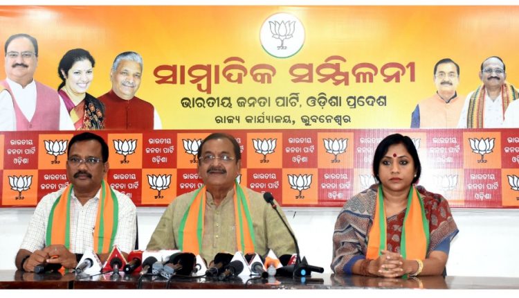 Odisha BJP to conduct survey of flood-hit areas