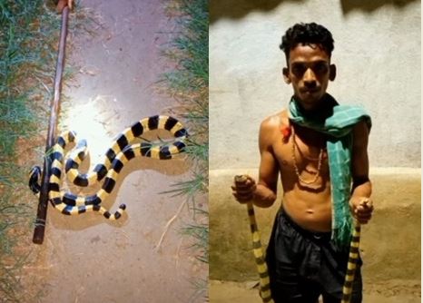 Odisha YouTuber held for keeping snakes, chameleons