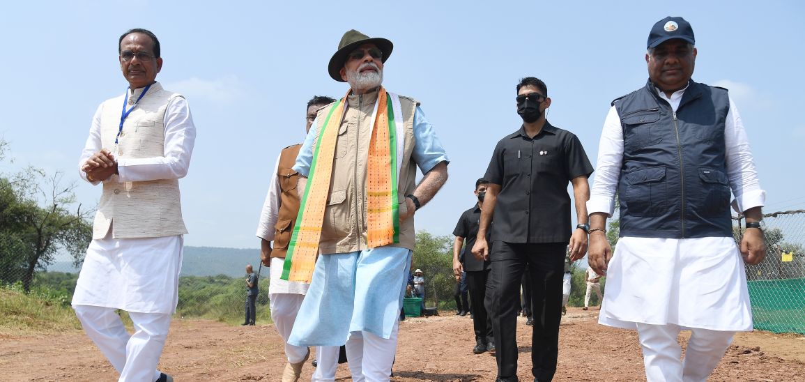 PM releases wild Cheetahs - which had become extinct from India - in Kuno National Park