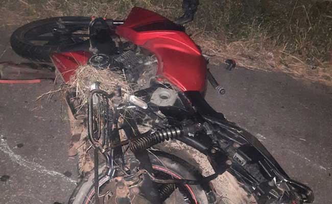 Two Youth While Returning From Bali Jatra Die In Road Mishap