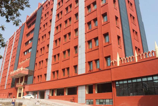 Elephant deaths: Orissa HC seeks detailed plan from JTF