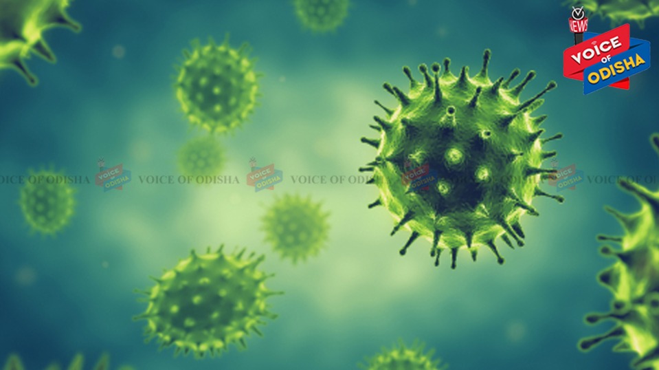 No Covid fear for Odisha now: Jayant Panda