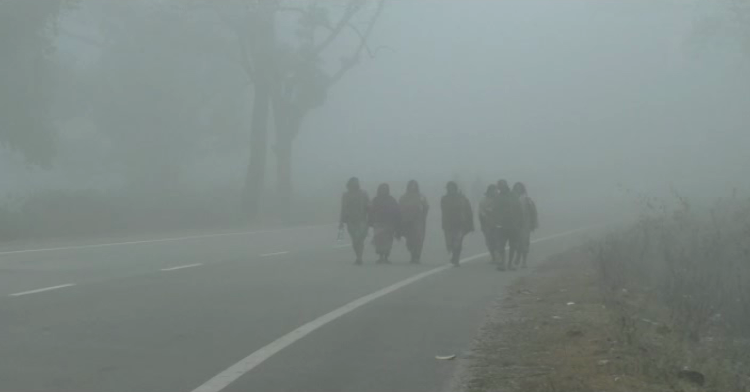 Cold wave conditions to prevail in Odisha for next 2 days; yellow warning issued