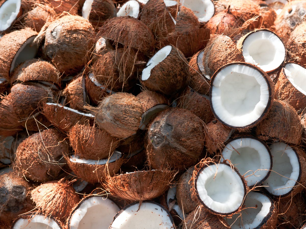 Webinar on World Coconut Day