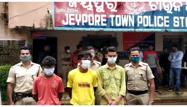 Ganja worth Rs 20 lakh seized in Jeypore  