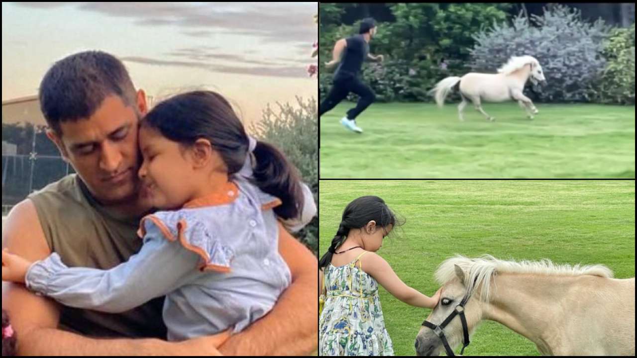 CSK Skipper MS Dhoni 'Tests His Fitness' With A Shetland Pony