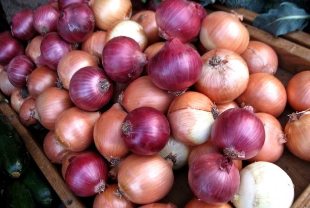 Odisha In Tears by the Rising Price of Onions 