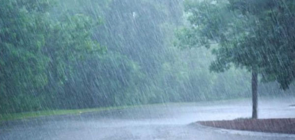 IMD issues rain alert for 12 districts 