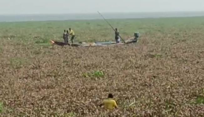 Boat Get Stuck For 3 Days in Chilika