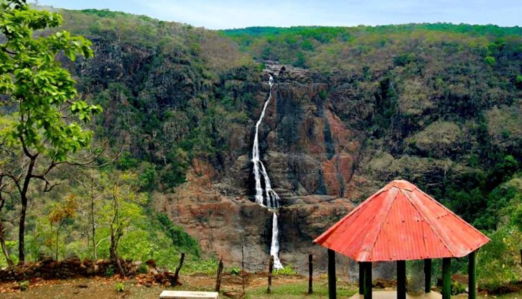 Reopening for tourists of Odisha's Similipal National Park