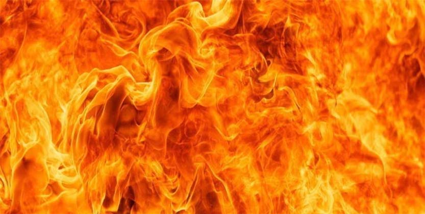 ମା’ପୁଅକୁ ହତ୍ୟା କରି ଜାଳିଦେଲେ