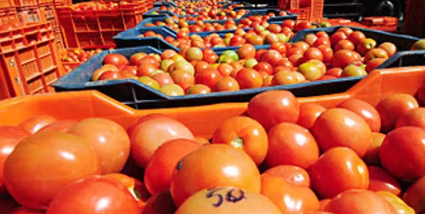 ଟମାଟୋ ଚୋରି କରି ଦୁଇ ପୋଲିସ କର୍ମୀ ନିଲମ୍ବିତ