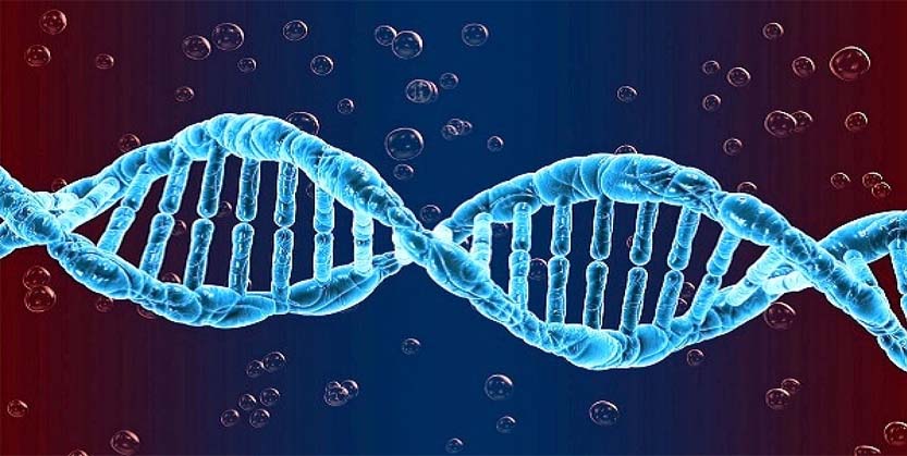 ଜାଣନ୍ତୁ କାହିଁକି ଭାରତରେ କମ ରହିଛି କରୋନା ମୃତ୍ୟୁହାର