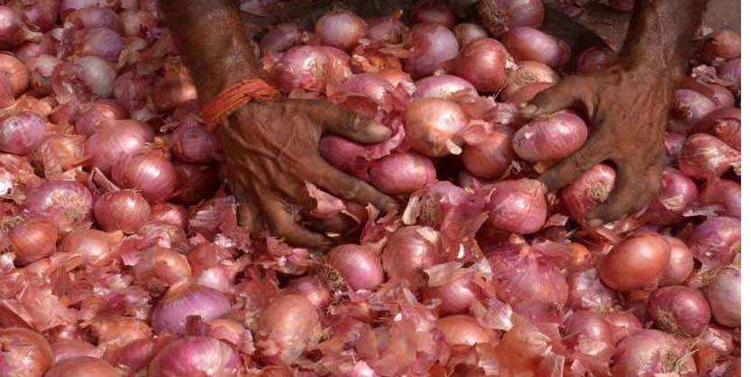 ଅକ୍ଟୋବରରେ ୧୦୦ ଟପିବ ପିଆଜ !