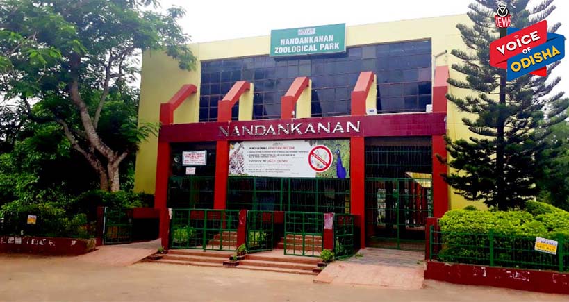 ଅକ୍ଟୋବର ୪ ରୁ ଖୋଲିବ ନନ୍ଦନ କାନନ