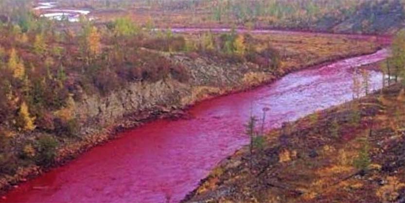 ପ୍ରଦୂଷଣ ଯୋଗୁଁ ଲାଲ ହେଲା ନଦୀ