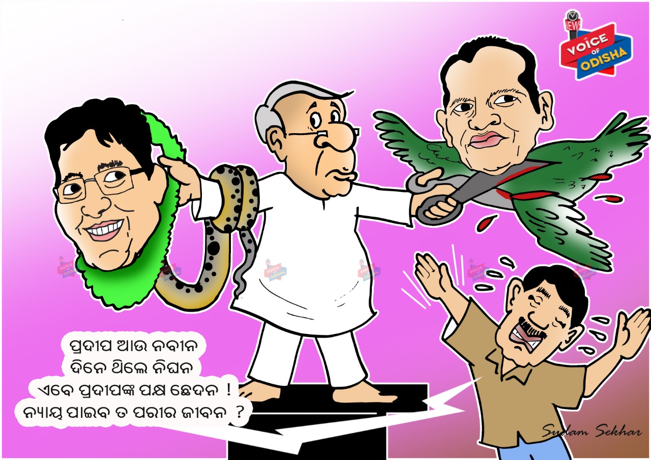 ପ୍ରଦୀପଙ୍କ ପକ୍ଷଛେଦନ, ହେଲେ ପରୀକୁ ନ୍ୟାୟ କେବେ?