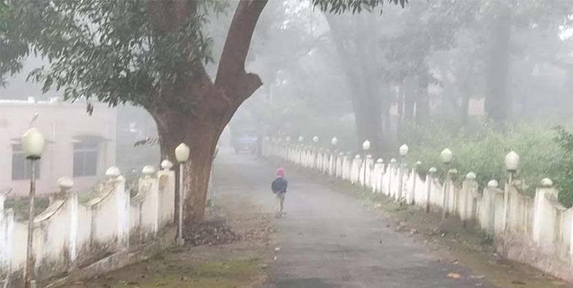 ଆଜି ବି ଘନ କୁହୁଡ଼ି, ୩ ଦିନ ପରେ ବଢ଼ିବ ଶୀତ