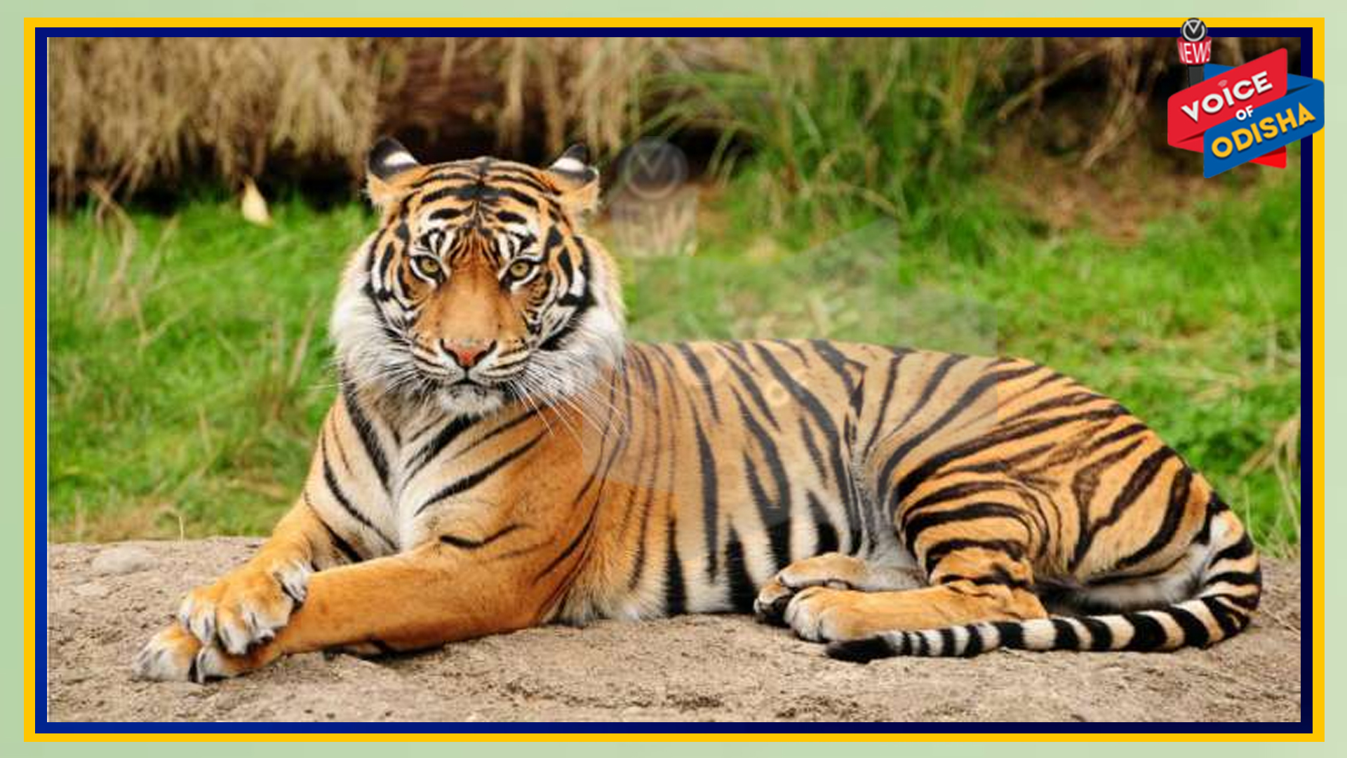  ଫେରିଯିବ ‘ସୁନ୍ଦରୀ’