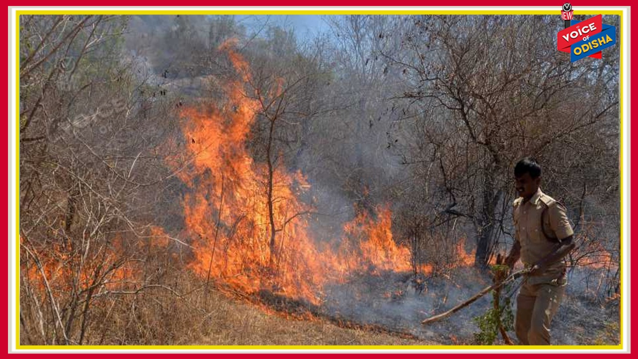 ଶିମିଳିପାଳ ନିଆଁ ଲିଭାଇଲେ ମୟୂରଭଞ୍ଜ ମହାରାଣୀ