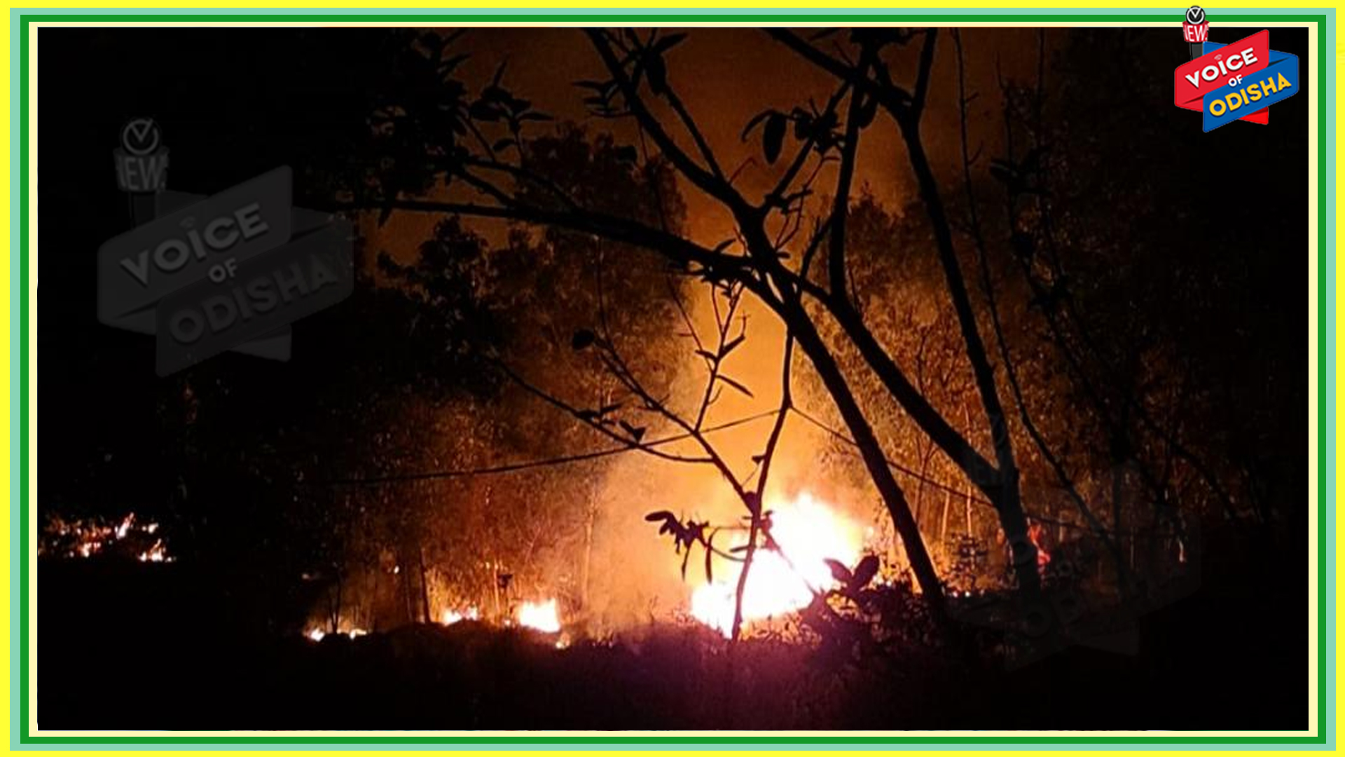 ଜଙ୍ଗଲରେ ନିଆଁ ଲଗାଇଲେ ଗିରଫ : ଡିଏଫଓ