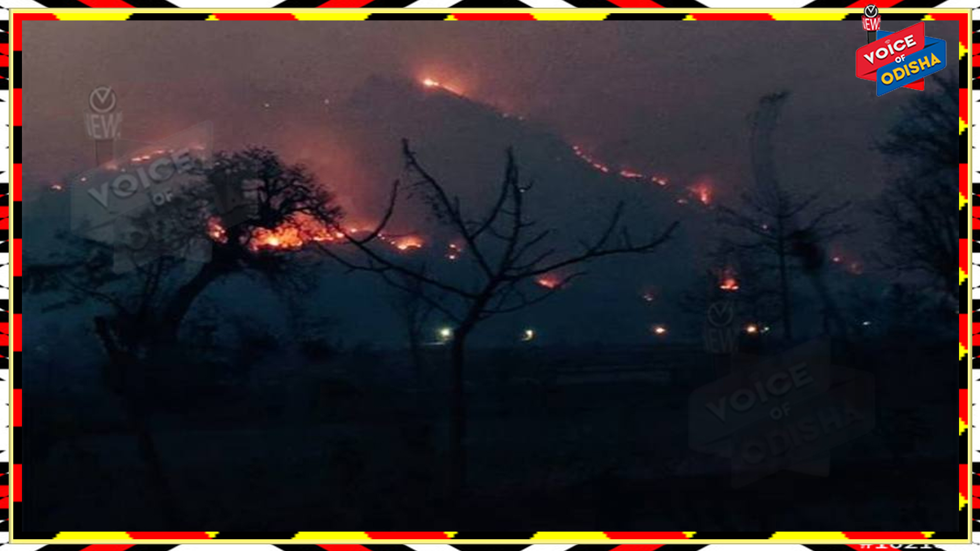 ଓଡ଼ିଶା ଆସିବ କେନ୍ଦ୍ରୀୟ ବିଶେଷଜ୍ଞ ଟିମ୍