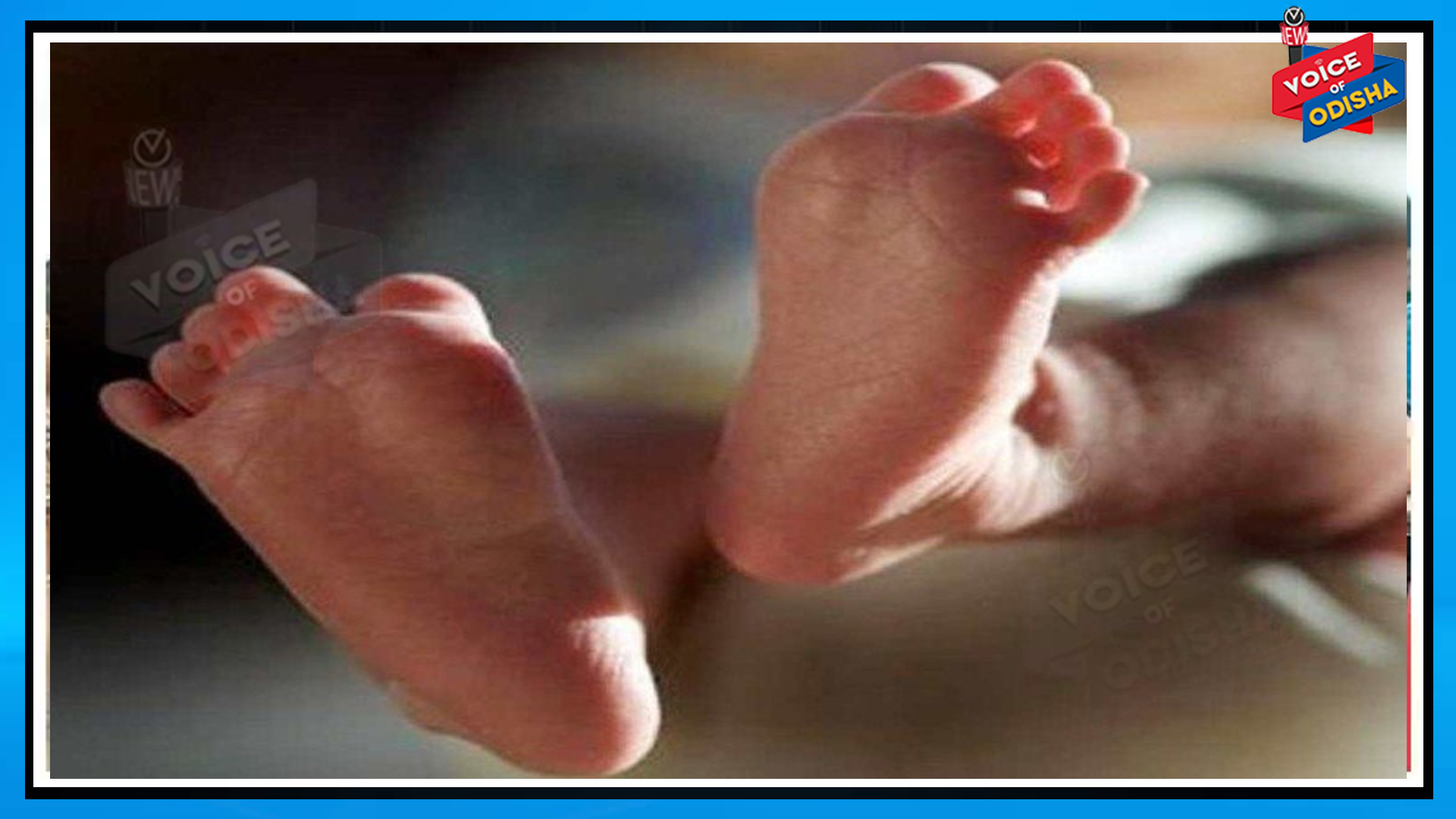 ୨ ନବଜାତଙ୍କ ମୃତଦେହ ଠାବ