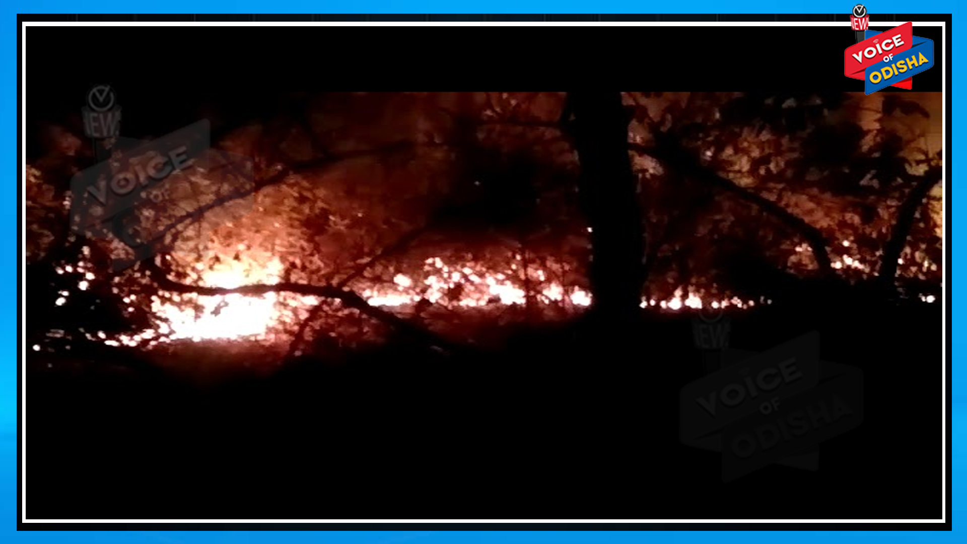 ସ୍ୱର୍ଣ୍ଣଚୁଡ଼ ସଂରକ୍ଷିତ ଜଙ୍ଗଲ ହୁତୁ ହୁତୁ ହୋଇ ଜଳୁଛି