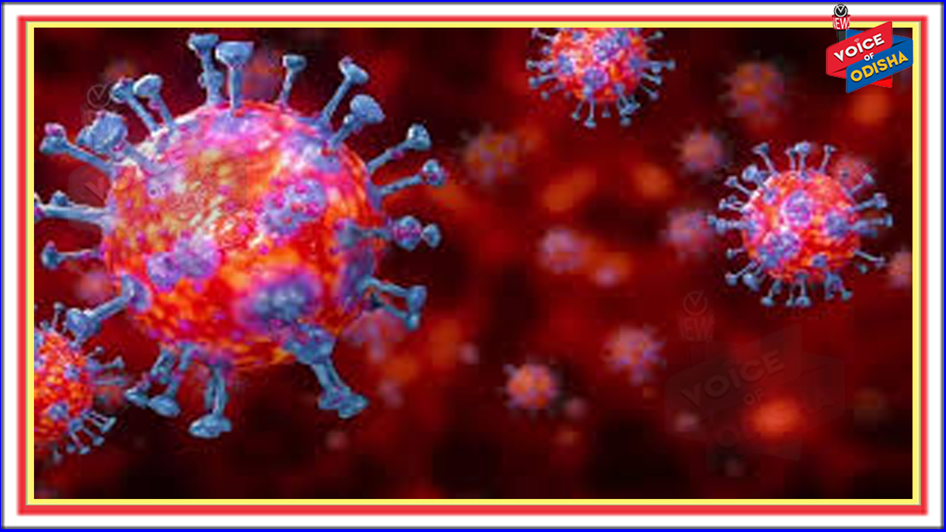 ପୂର୍ବଭଳି ସ୍ଥିତି ହେବ ନାହିଁ : ଗଞ୍ଜାମ ଜିଲ୍ଲାପାଳ