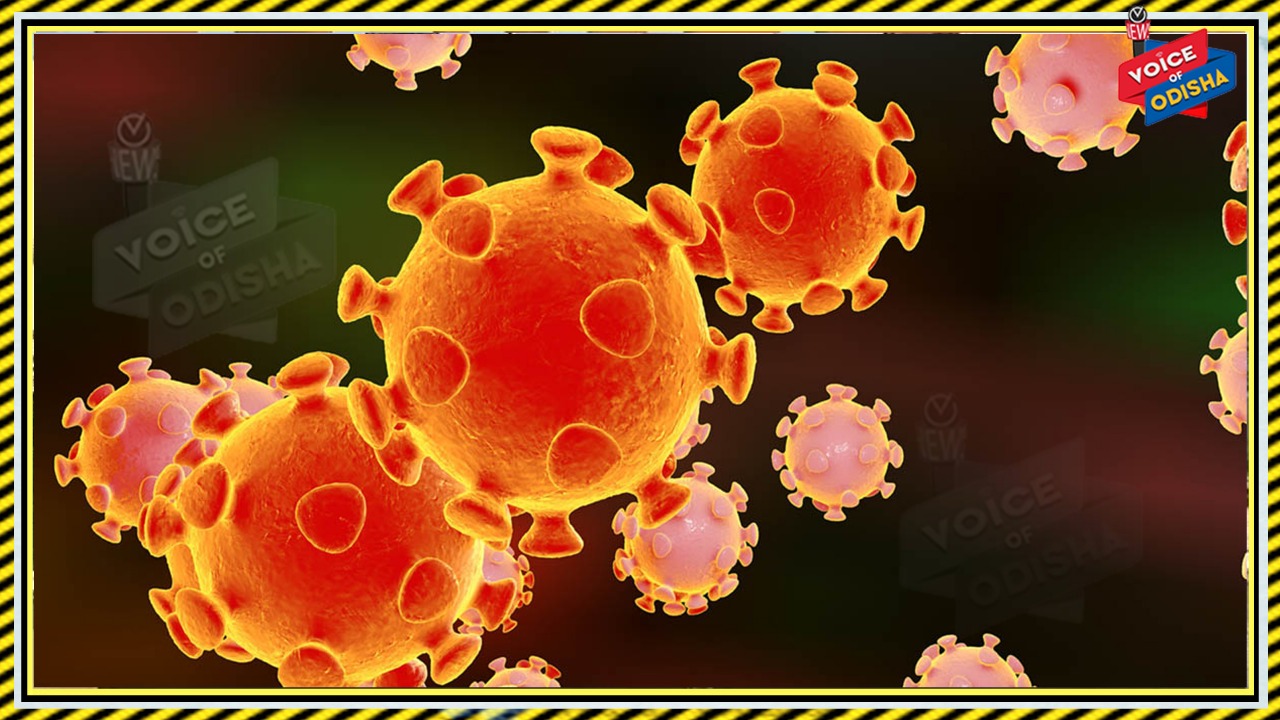 ୨୪ ଘଣ୍ଟାରେ ରାଜ୍ୟରେ ୧୧୦ କରୋନା ଆକ୍ରାନ୍ତ ଚିହ୍ନଟ