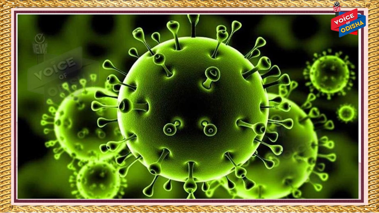 ଓଡ଼ିଶାରେ କରୋନା ଗ୍ରାଫ ଉପରମୁହାଁ , ଆଉ ୧୭୦ ପଜିଟିଭ ଚିହ୍ନଟ