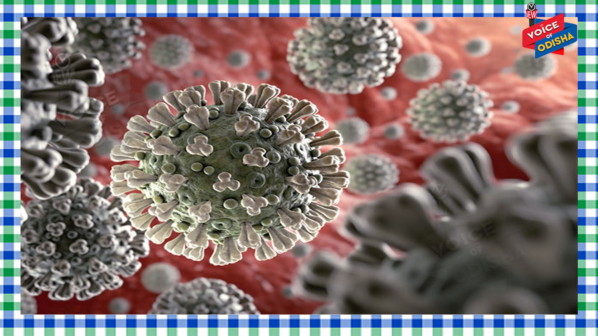 ୨୪  ଘଂଟାରେ ୨୭୧ ଆକ୍ରାନ୍ତଙ୍କ ମୃତୁ୍ୟ