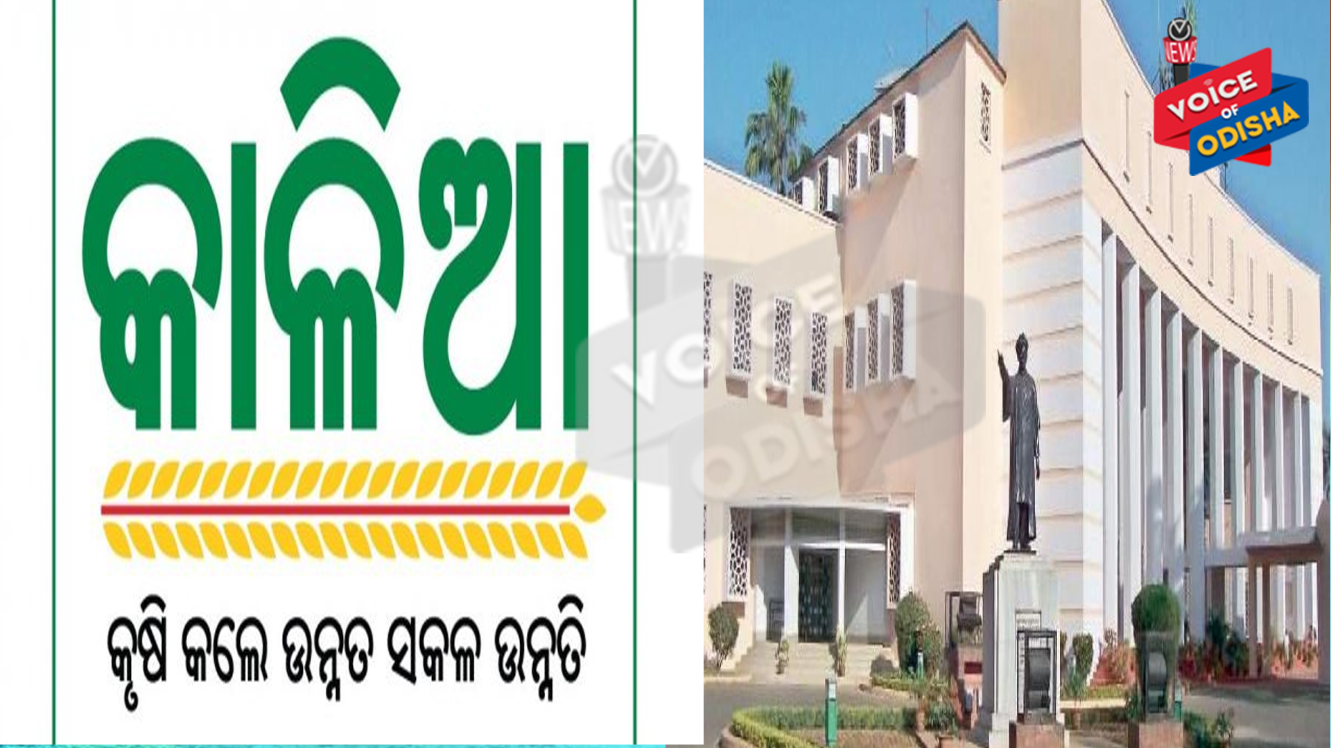 କାଳିଆ ଯୋଜନାରେ ଖର୍ଚ୍ଚ ୬୬୯୦ କୋଟି