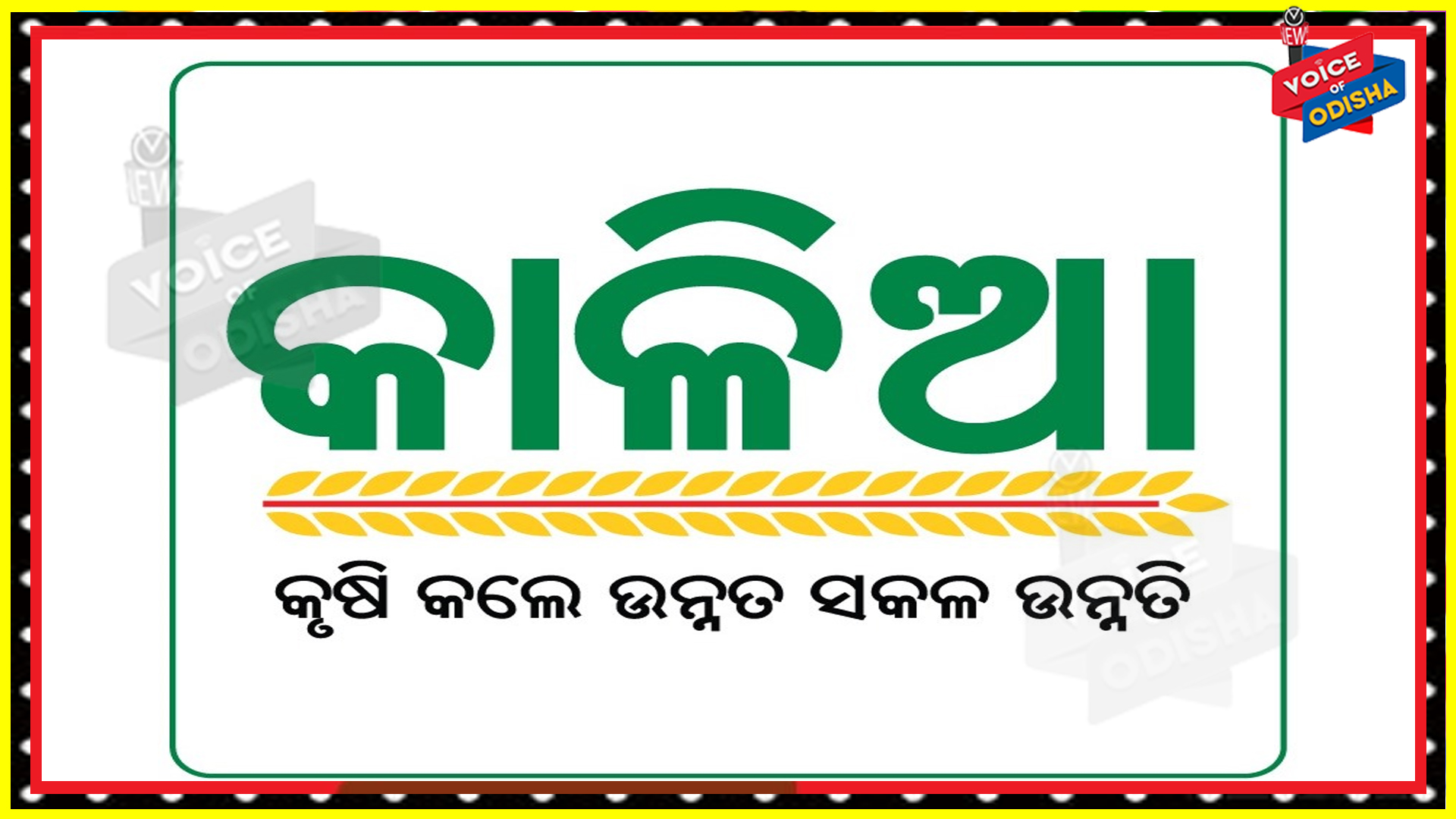 ଚାଷୀଙ୍କ ଆକାଉଂଟକୁ ଗଲା କାଳିଆ ଟଙ୍କା