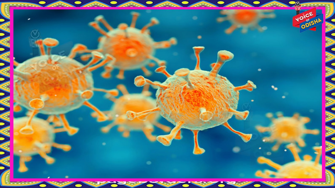 କରୋନା ମୁକାବିଲା : ବିଭିନ୍ନ ଜିଲ୍ଲାପାଇଁ ଆଇଏଏସଙ୍କୁ ଦାୟିତ୍ୱ