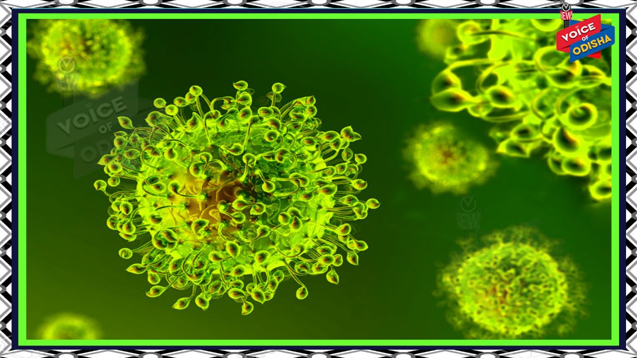 କରୋନା ଦ୍ୱିତୀୟ ଢେଉ : ଆଜି ରାଜ୍ୟରୁ ୨ ଜଣଙ୍କ ମୁଣ୍ଡ ନେଲା କରୋନା