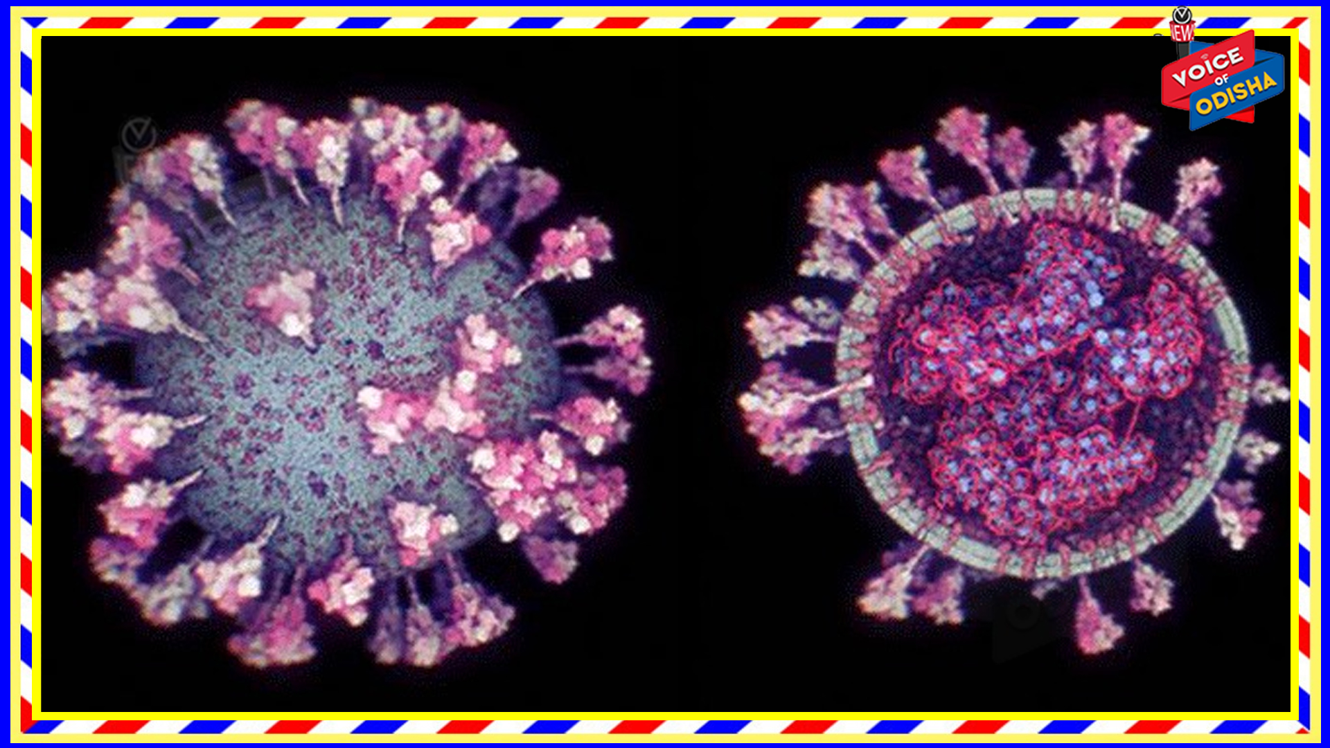 କଳ୍ପନା ଛକସ୍ଥିତ ଉକ୍ରଳ ରୟାଲ ରେସିଡେନ୍ସିଂ ଆପାର୍ଟମେଣ୍ଟ ସିଲ