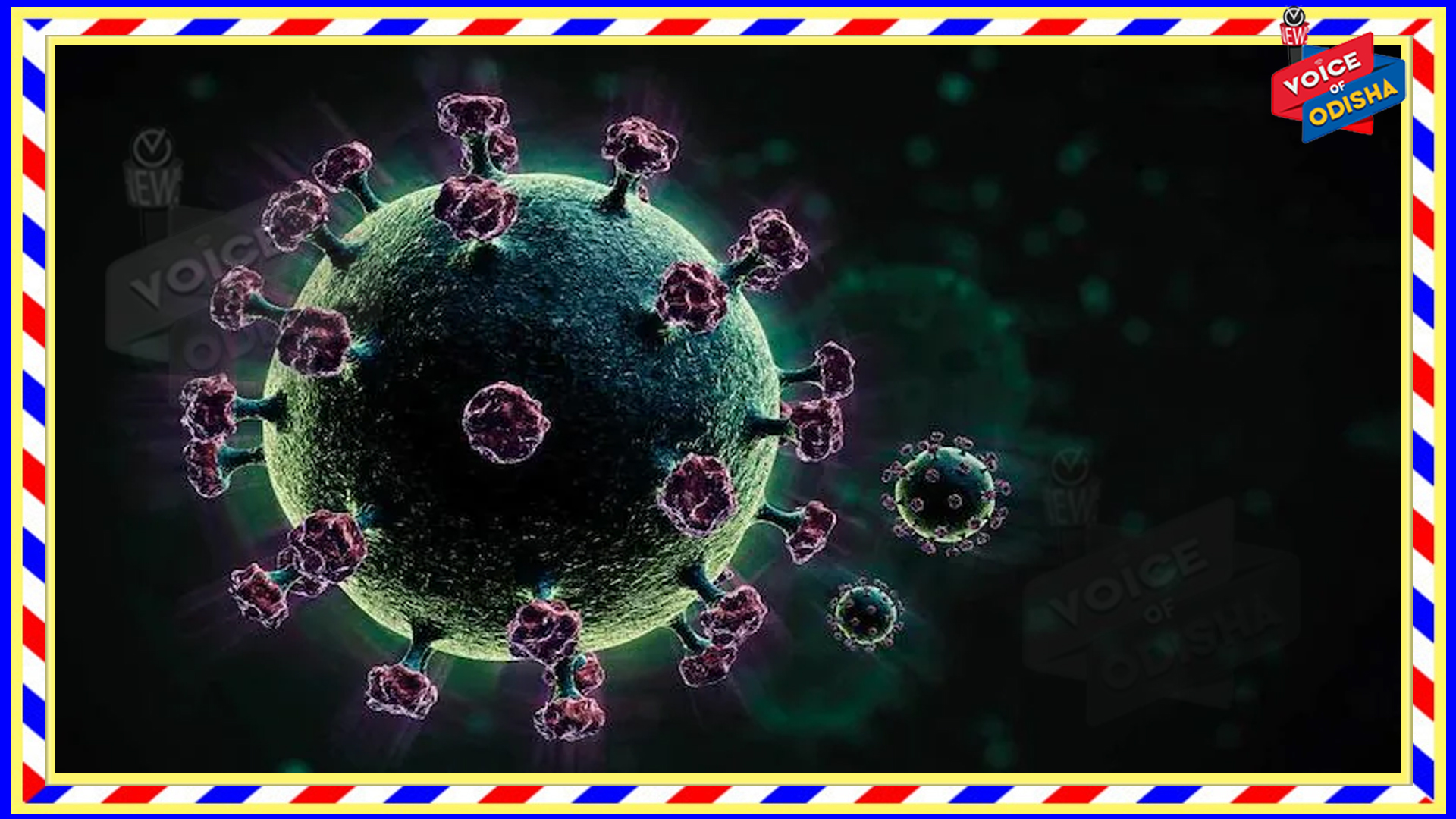 ଛାନିଆ କଲାଣି କୋଲକାତା , ପ୍ରତି ଦୁଇ ଜଣରେ ଜଣେ ପଜିଟିଭ