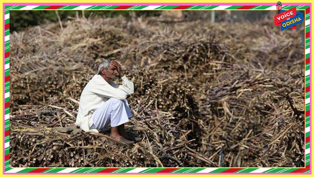 ଭାରତରେ ଦାରିଦ୍ର୍ୟ ୨୦୨୦ରେ ଦୁଇଗୁଣ ବଢ଼ିଛି