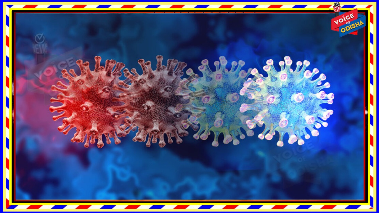 ଆନ୍ଧ୍ର ଷ୍ଟ୍ରେନକୁ ନେଇ ଓଡ଼ିଶାରେ ବିପଦ ଘନେଇଛି