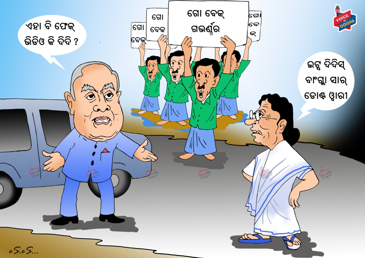 ଏହା ବି ଫେକ୍ ଭିଡିଓ କି ଦିଦି ?