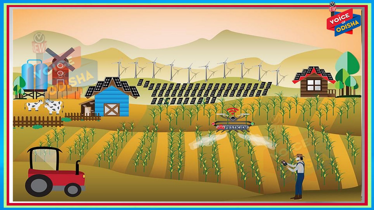 ଗ୍ରାମାଞ୍ଚଳ ଅର୍ଥନୈତିକ ବିକାଶ ପାଇଁ ଉଦ୍ୟମ କରୁଛନ୍ତି ‘ଆଚାର ମଣିଷ’