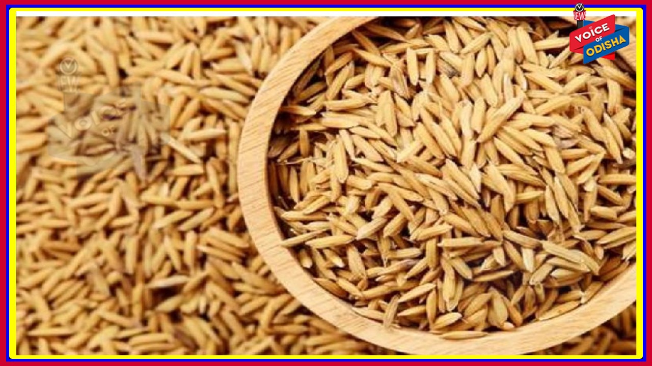 ଧାନ କ୍ୱିଣ୍ଟାଲ ପିଛା ଏମଏସପି ୧୯୪୦କୁ ବୃଦ୍ଧି ନେଇ କେନ୍ଦ୍ର କ୍ୟାବିନେଟରେ ନିଷ୍ପତ୍ତି